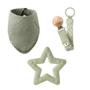 BIBS My first 6 months gift set, sage