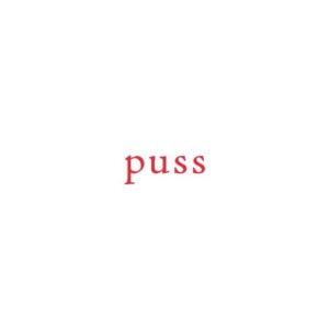 Kort ""Puss"" 55X55mm av Lena Lindahl