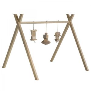 NG Baby babygym