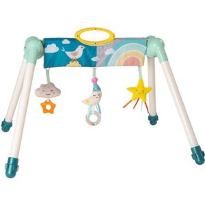 Taf Toys Mini Moon resebabygym